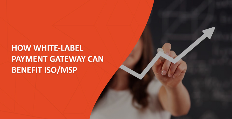 How White-Label Payment Gateway Can Benefit ISO/MSP