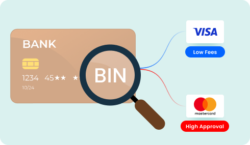 BIN & Card Brand-Based Optimization